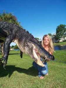 Alligator Hunting in Florida: Big Alligator!