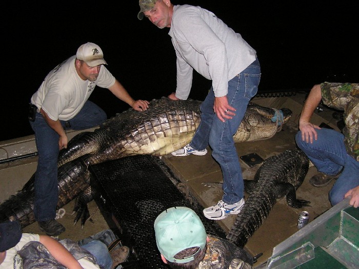 gator hunting boats