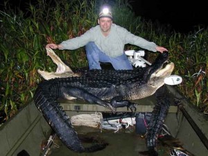 double-alligator-deluxe-01
