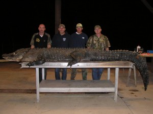 four-alligator-hunters-line-up-01
