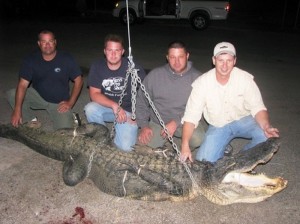 four-alligator-hunters-need-a-chain-01