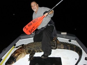 he-should-be-bait-gator-hunter-01