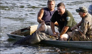 three-men-and-an-alligator-01