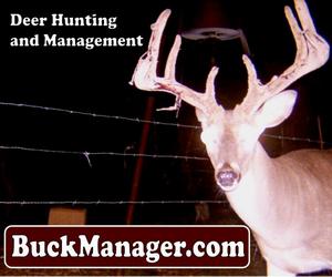 Whitetail Deer Management