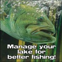 Lake Management
