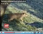 Kansas Bowhunting Video