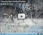 Amazing Deer Hunting Video