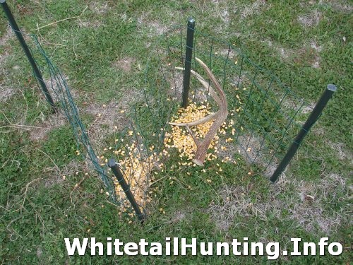 Return to: How to Make a Deer Antler Trap