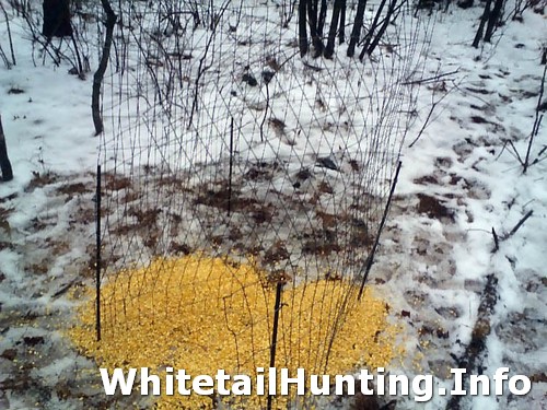 Deer Antler Shed Traps