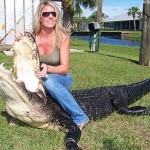 Alligator Hunting in Florida: Big Alligator!