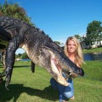 Alligator Hunting in Florida: Big Alligator!