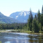 Rocky Mountain National Park: Adams Falls Trail