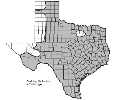 The Range of Feral Hogs in Texas