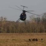 Granger Lake Helicopter Hog Hunting