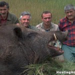 Huge Feral Hog Killed in Texas