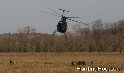 Helicopter Hog Hunting in Texas