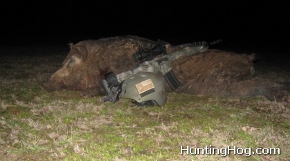 Hog Hunting at Night in Texas