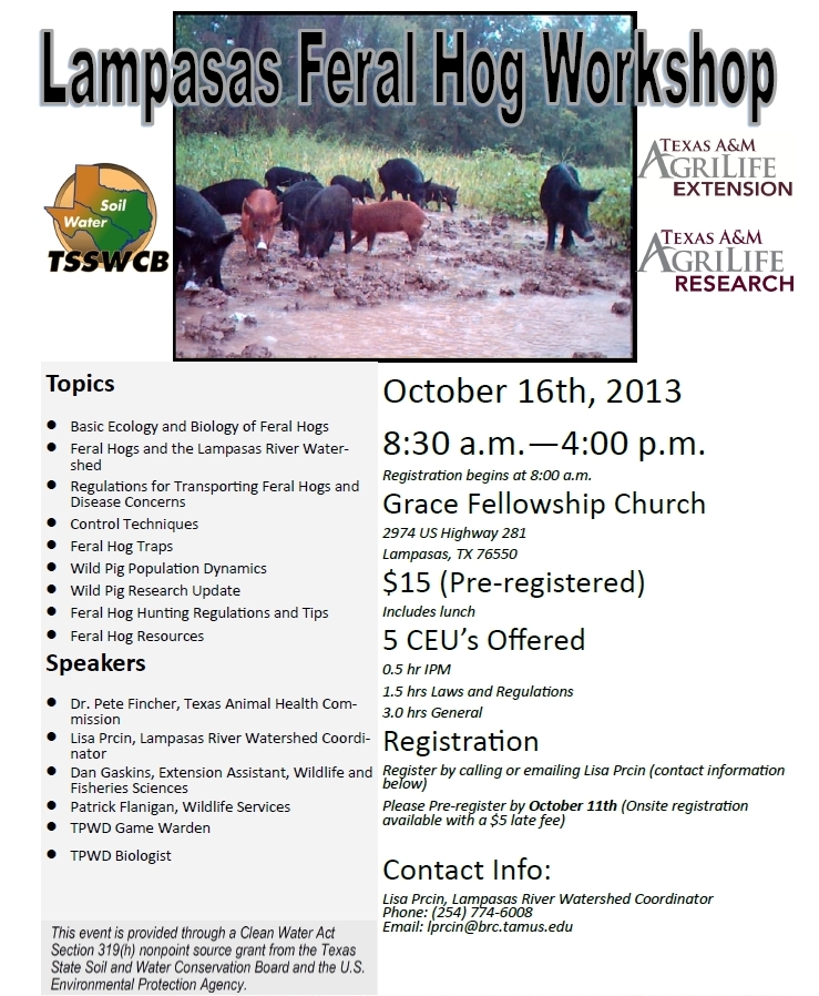 Wild Hog Workshop in Lampasas County, Texas