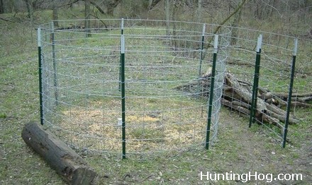 The Cattle Panel Hog Trap with Easy Door Design