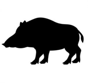 hog-icon | Hog Hunting