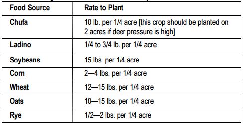 Food Plots for Turkey