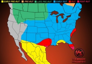 Whitetail Deer Rut Report | Whitetail Hunting