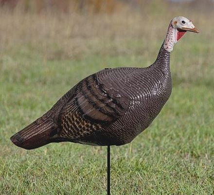 Can a turkey decoy improve your deer hunting?