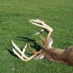 Whitetail Hunting: Giant Ohio Buck Shot
