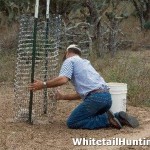 Make a Cottonseed Feeder for Whitetail Deer