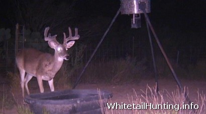 Whitetail Hunting: Deer Hunting Lease in Lampasas County Texas
