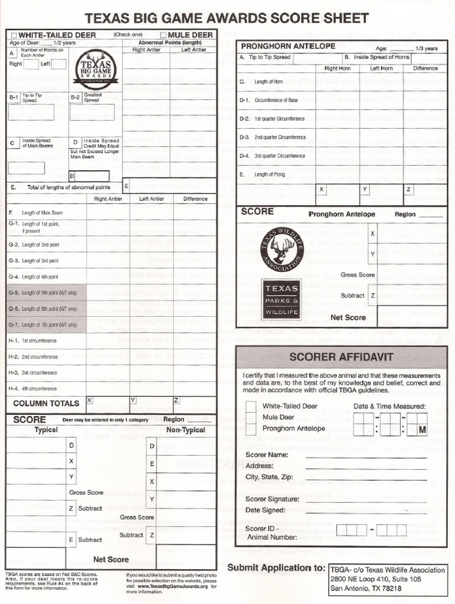 Deer Antler Scoring Classes Antler Score Sheet Whitetail Hunting